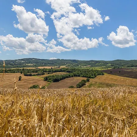 Stunning In Frazione Appartamento *